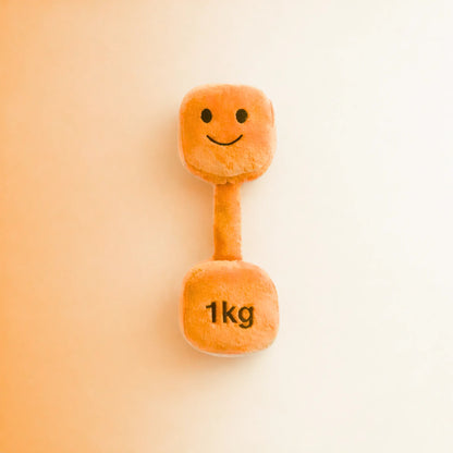 Hazza Toyz Apricot Orange plush 1kg dumbbell baby toy