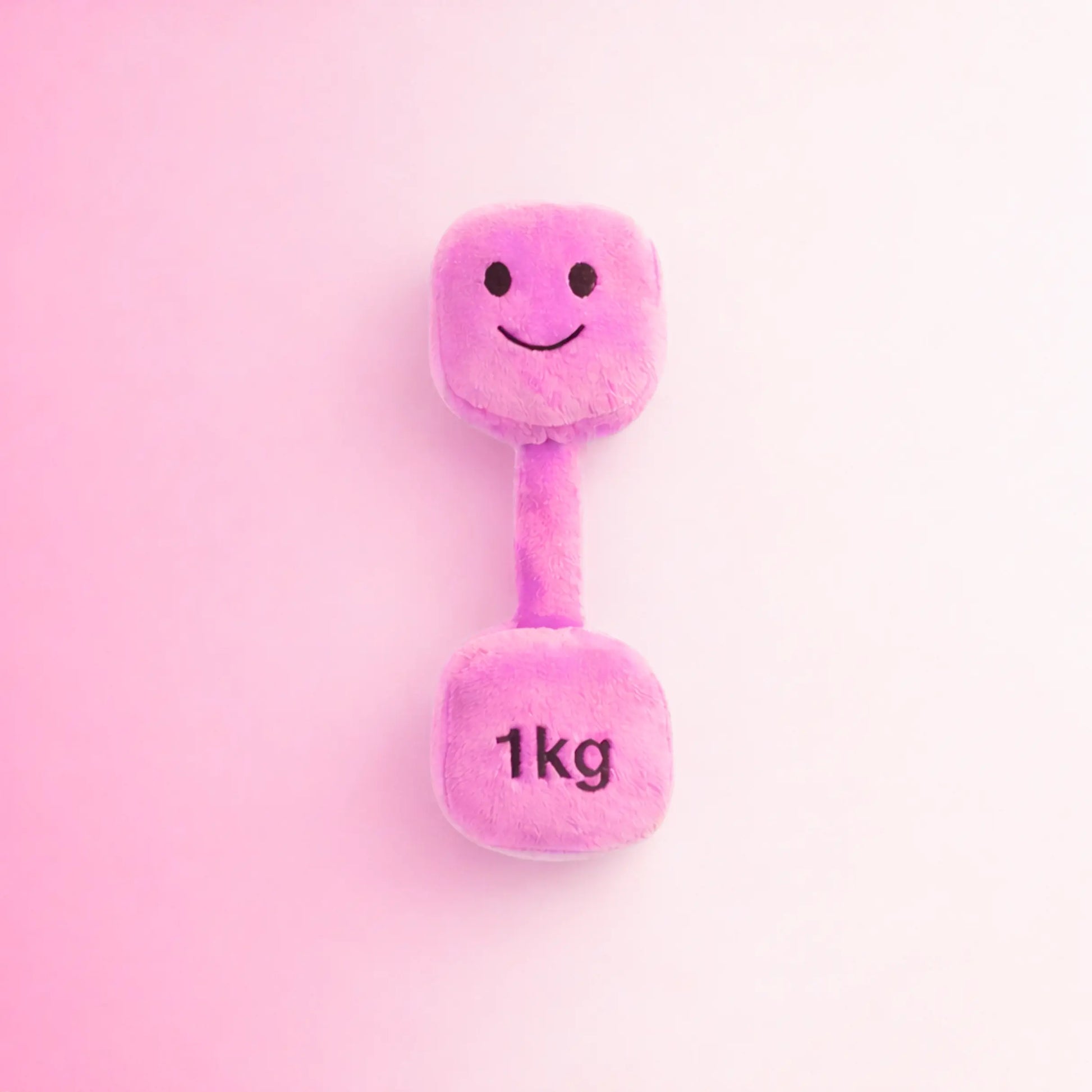 Hazza Toyz Candy Château Pink plush 1kg dumbbell baby toy