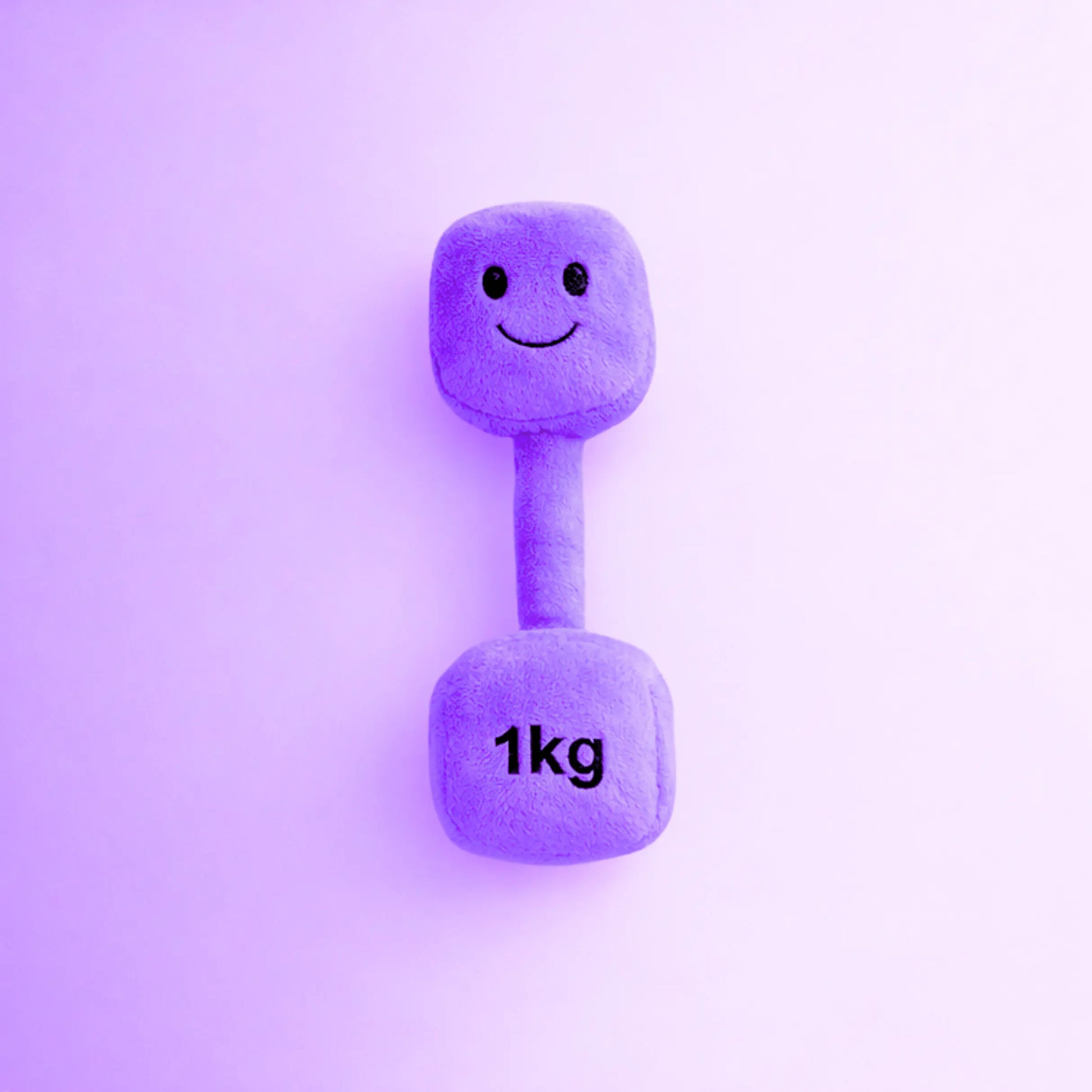 Hazza Toyz Lavender Purple plush 1kg dumbbell baby toy