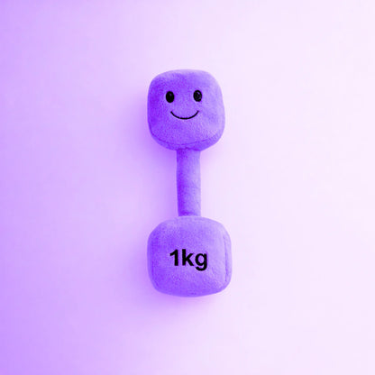 Hazza Toyz Lavender Purple plush 1kg dumbbell baby toy