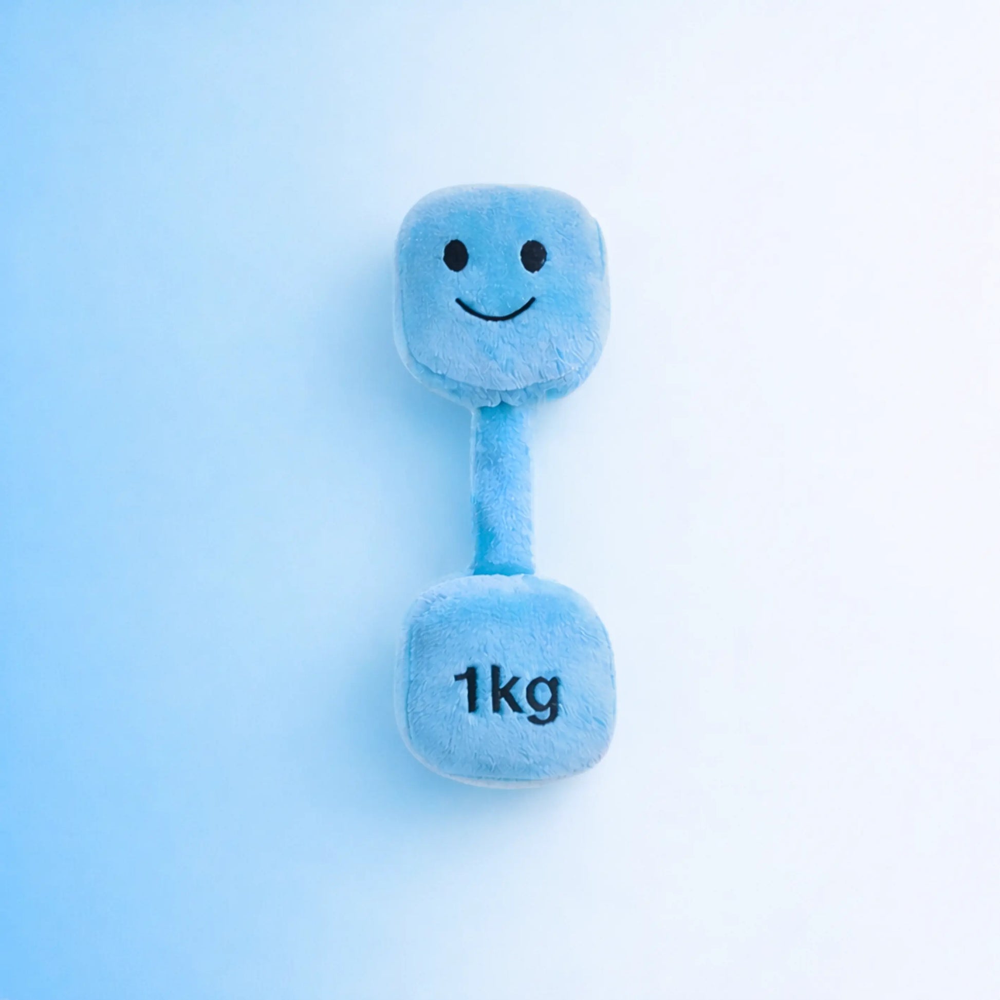 Hazza Toyz Mystic Blue plush 1kg dumbbell baby toy