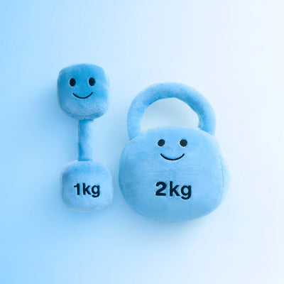 Hazza Toyz Mystic Blue plush 1kg dumbbell and 2kg kettlebell toy set for babies