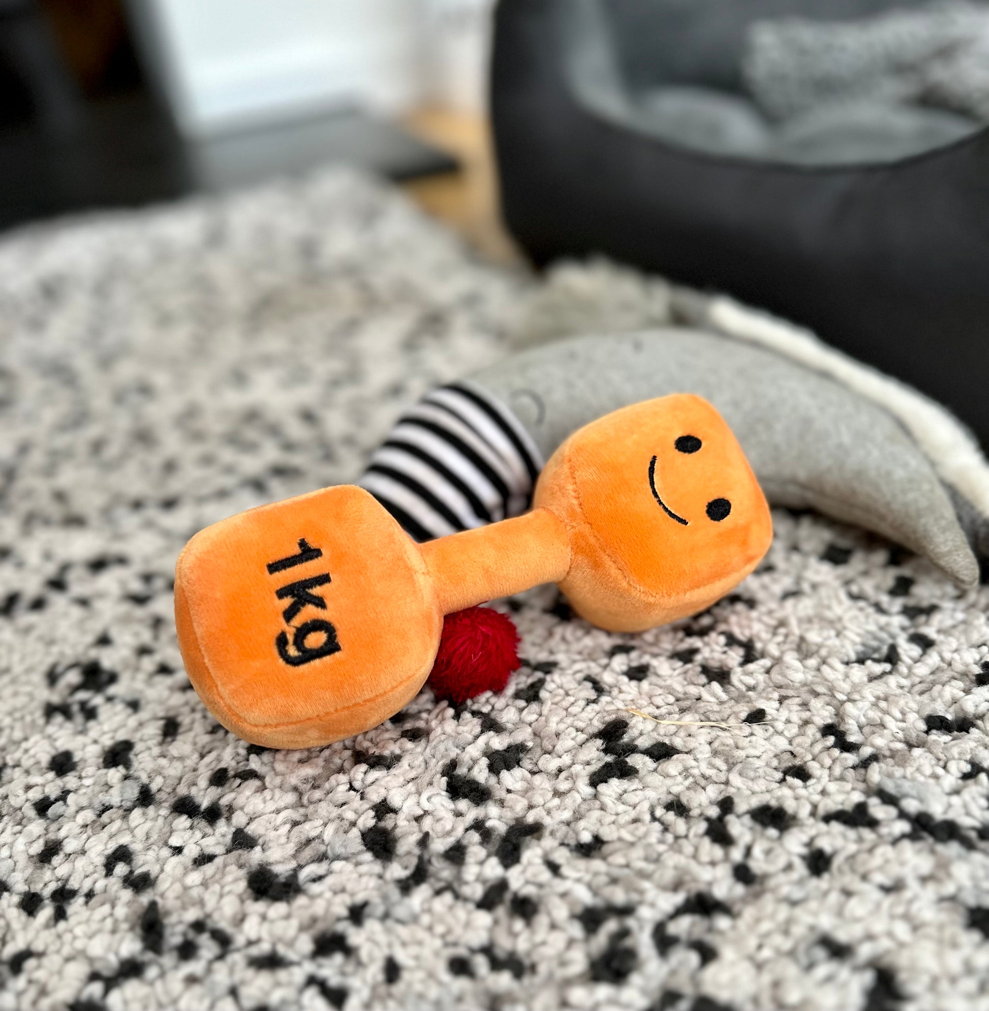 Hazza Toyz Apricot Orange dumbbell on rug in lounge, adding a playful touch to the living room setting