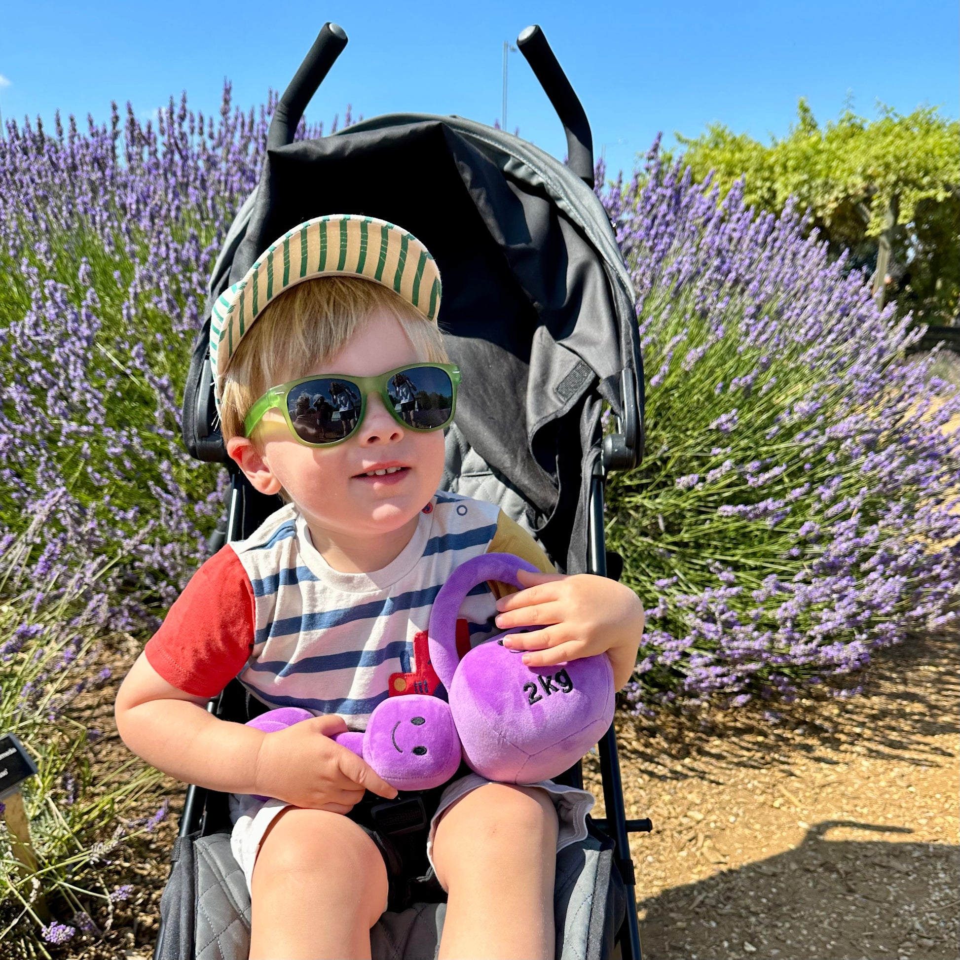 Baby in pram with sunglasses, holding Hazza Toyz Lavender Purple dumbbell and kettlebell, lavender flowers in the background for a playful outdoor setting