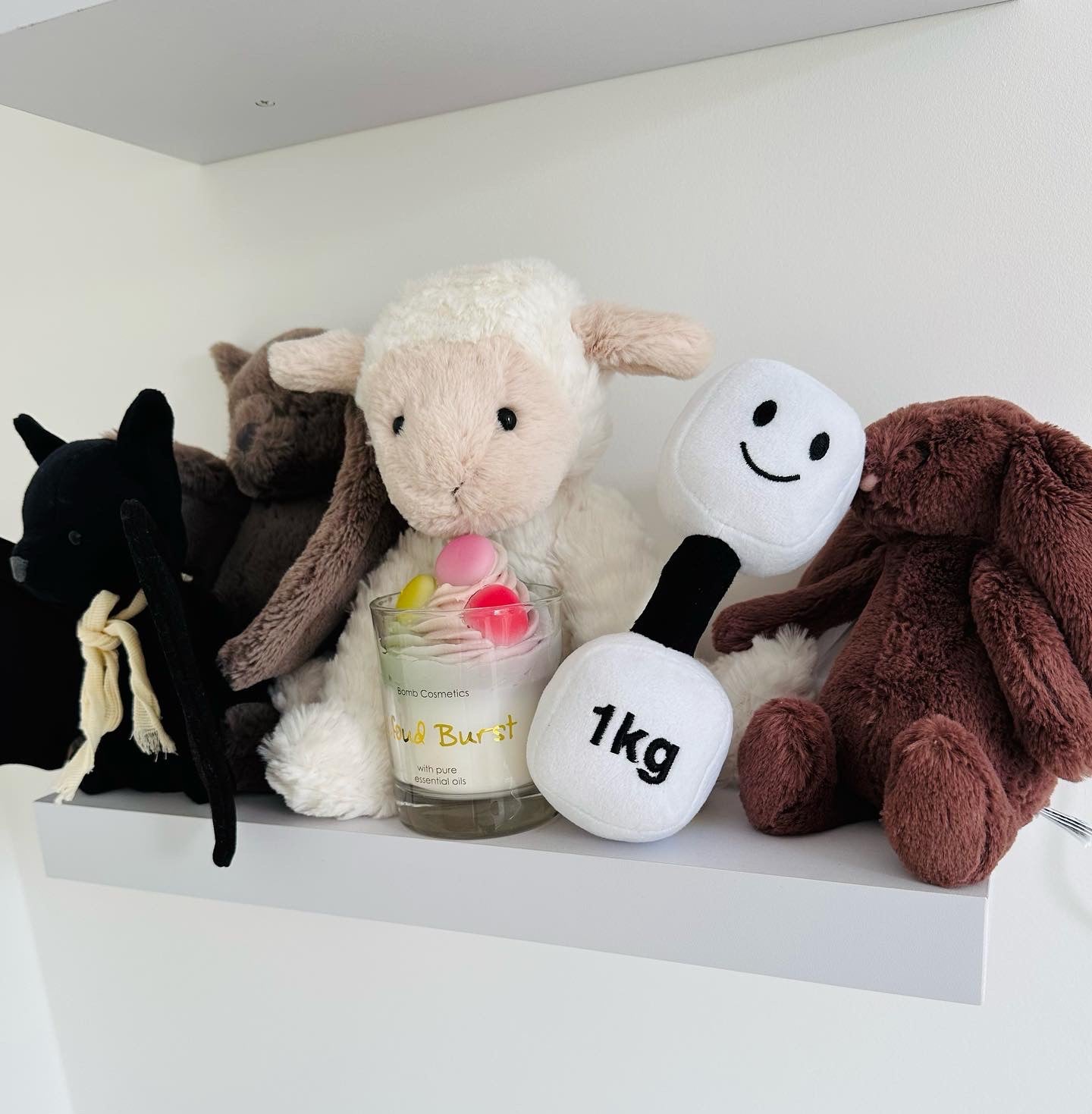 Shelf in baby's room featuring black and white toys, with Hazza Toyz Lamby Black and White dumbbell positioned in the middle, adding a playful touch to the nursery decor