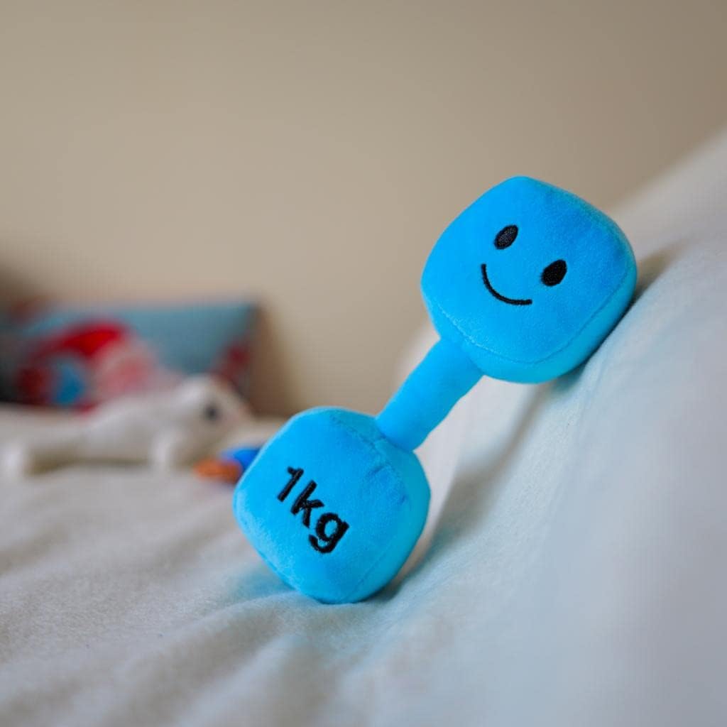 Mystic Blue dumbbell with a softly blurred background, highlighting the vibrant design of Hazza Toyz fitness-inspired toys for toddlers.