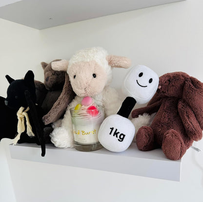 Lamby Black and White dumbbell arranged in a line with other baby toys, highlighting Hazza Toyz’s playful and engaging toy selection for toddlers.